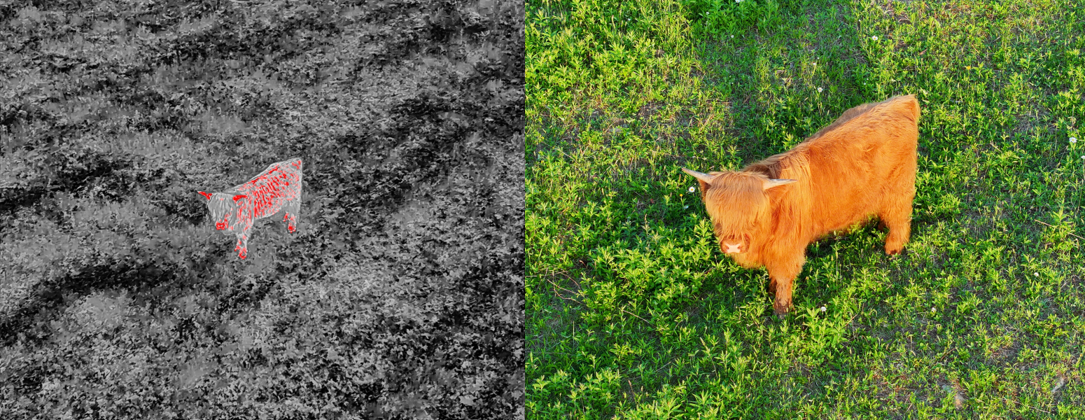 Livestock Search & Locate